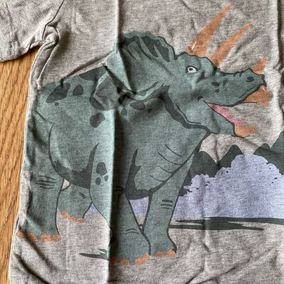 Carters Dinosaur Triceratops Tee Gray 24 Months - Picture 3 of 6
